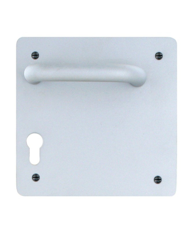 Square plate with handle